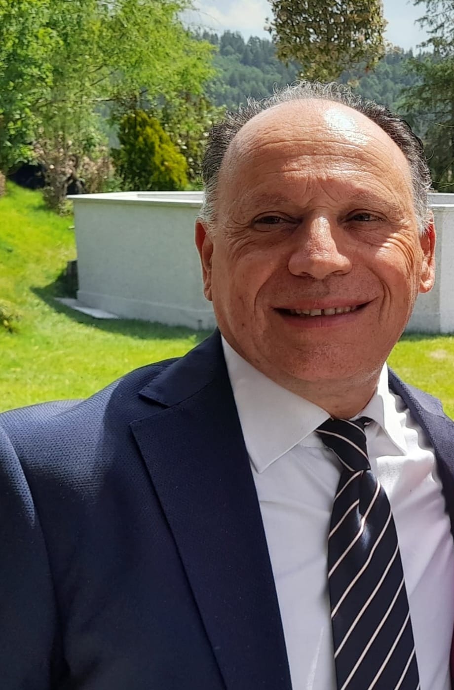 domenico sculco